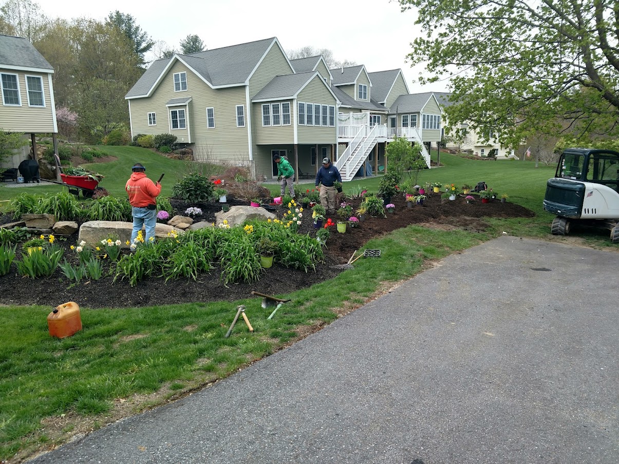 Plantings3